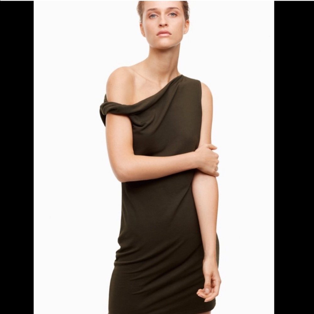 The group babaton gabbard dress for aritizia .   Size small